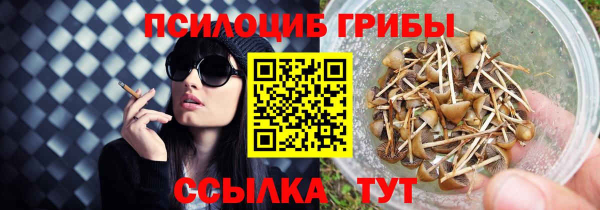 Псилоцибиновые грибы мицелий  Галлюциногенные грибы Psilocybe  Ступино  где купить наркоту  Вход с VPN 